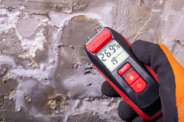 Best Best Mold Removal Companies  in Grand Ronde, OR