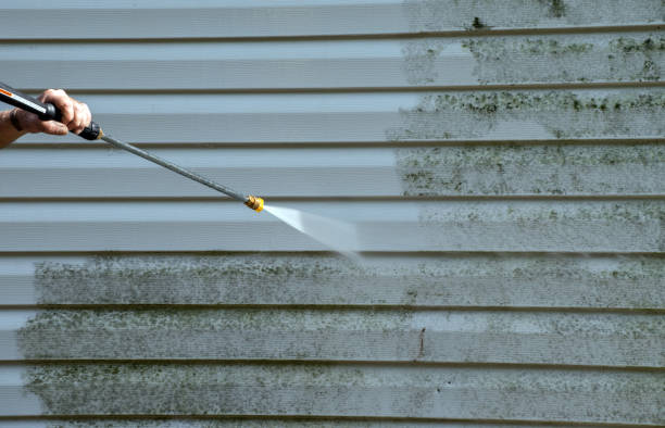 Best Professional Mold Removal  in Grand Ronde, OR