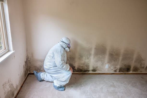Best Mold Removal and Inspection  in Grand Ronde, OR
